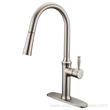 Kitchen Tap With Pull Down Sprayer